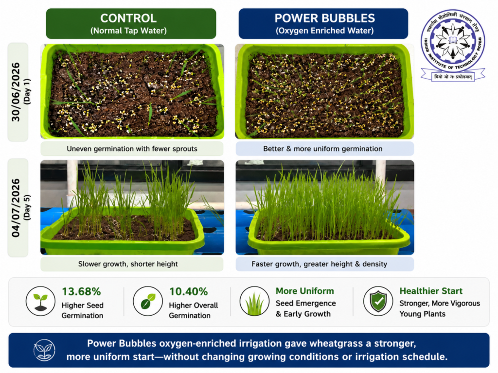 Wheatgrass Case Study