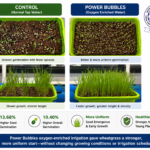 Wheatgrass Case Study
